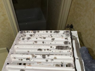 Vent Mold Remediation Services